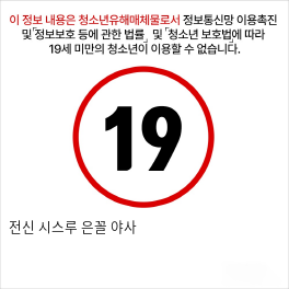 전신 시스루 은꼴 야사