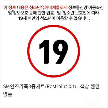 초보자용 BDSM플레이 인조가죽 8종세트 - 색상 랜덤 발송